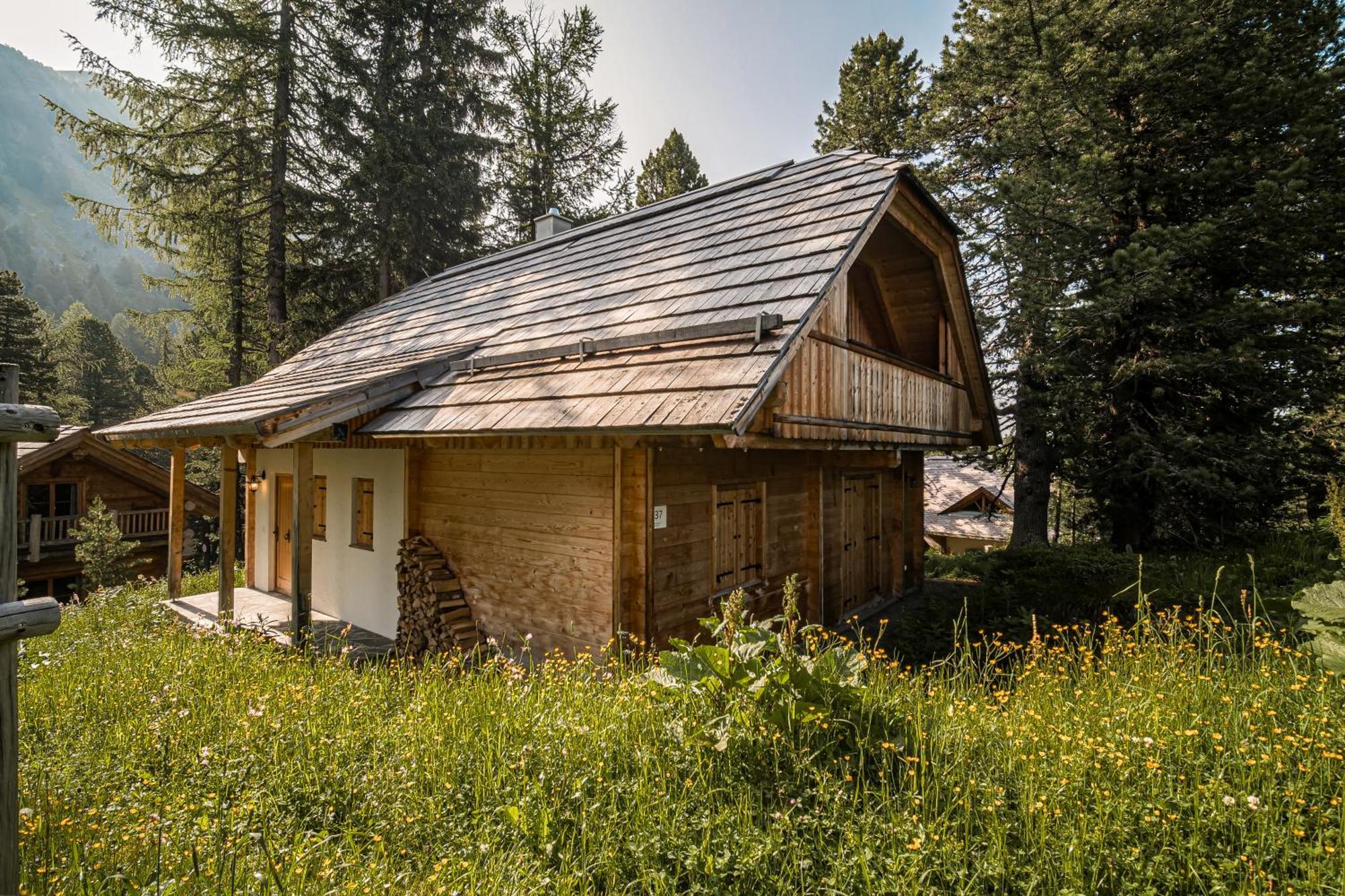 Alpin-Huetten Auf Der Turracherhoehe Haus Murmeltier By S4Y Turracher Höhe Buitenkant foto