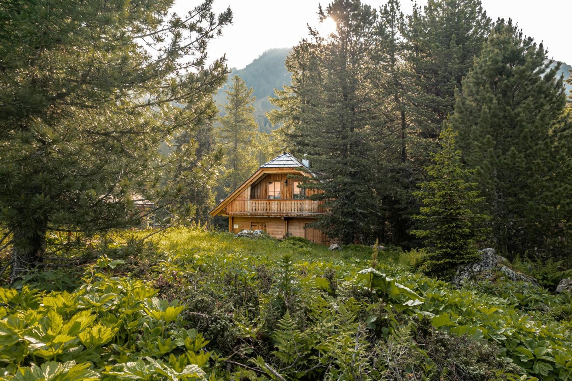 Alpin-Huetten Auf Der Turracherhoehe Haus Murmeltier By S4Y Turracher Höhe Buitenkant foto
