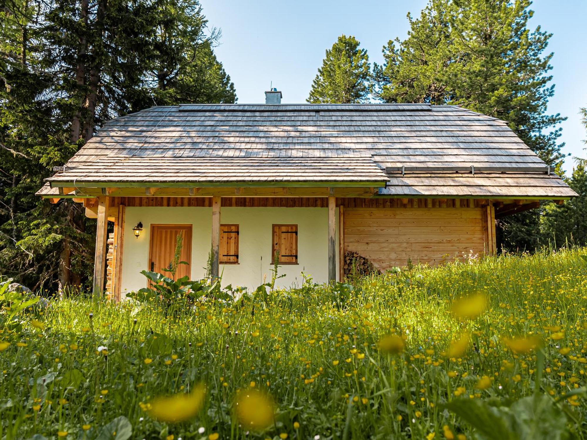Alpin-Huetten Auf Der Turracherhoehe Haus Murmeltier By S4Y Turracher Höhe Buitenkant foto